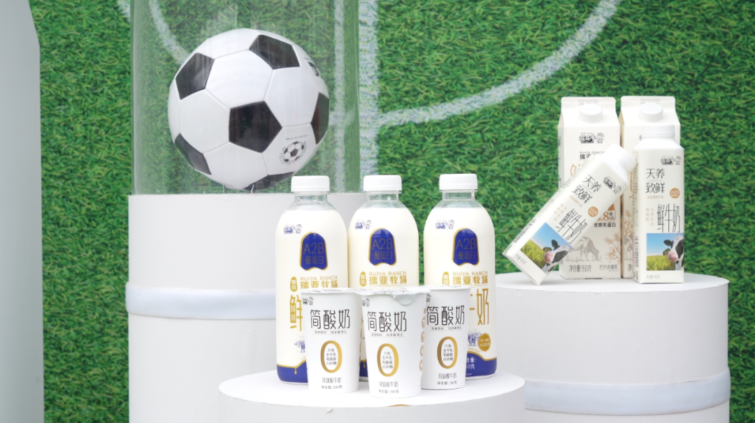 官宣丨花花牛贊助河南足球，新賽季和河南足球一起牛氣沖天！