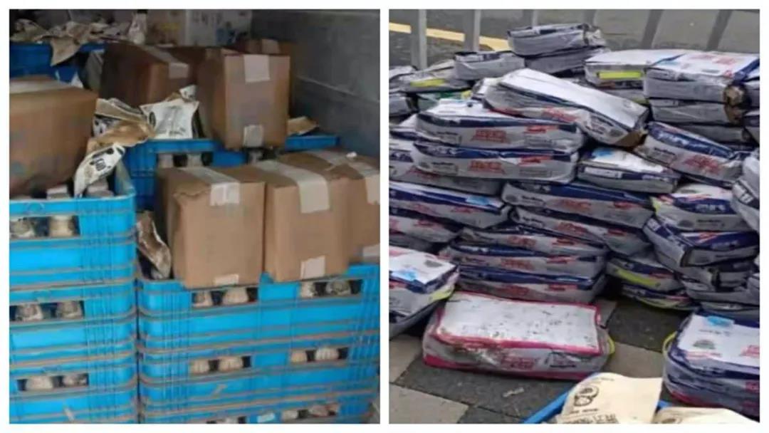 【乳報·聚焦】“豫”難而上的中原牛人“太中了”！