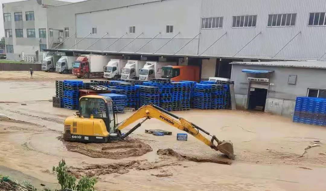 【乳報·聚焦】“豫”難而上的中原牛人“太中了”！