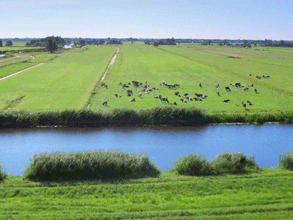 春風吹 戰(zhàn)鼓擂——不負春天好時光 春風吹 戰(zhàn)鼓擂——不負春天好時光