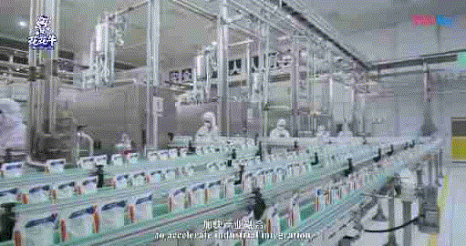 快訊 | 湖北省農(nóng)業(yè)廳副廳長王海濤等領(lǐng)導一行蒞臨河南花花牛乳業(yè)集團參觀調(diào)研