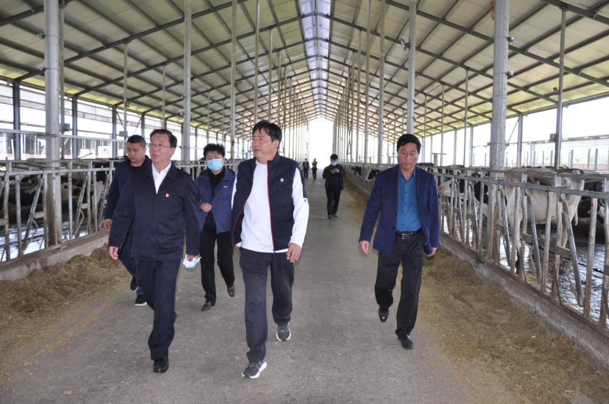 商丘市委常委、宣傳部部長王全周一行蒞臨睢縣瑞亞牧業(yè)有限公司調(diào)研