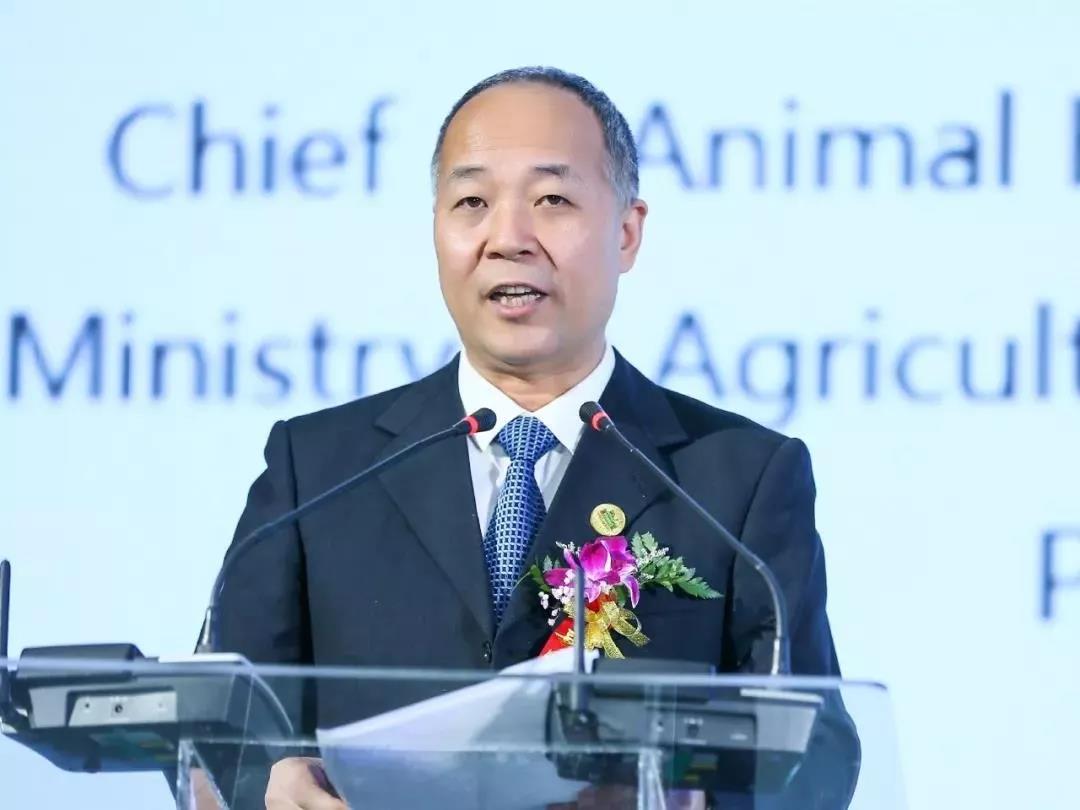 SDDDC走進河南，看看花花牛的國際范兒！