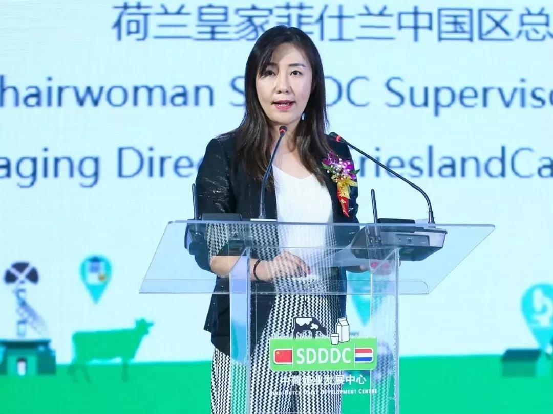 SDDDC走進河南，看看花花牛的國際范兒！