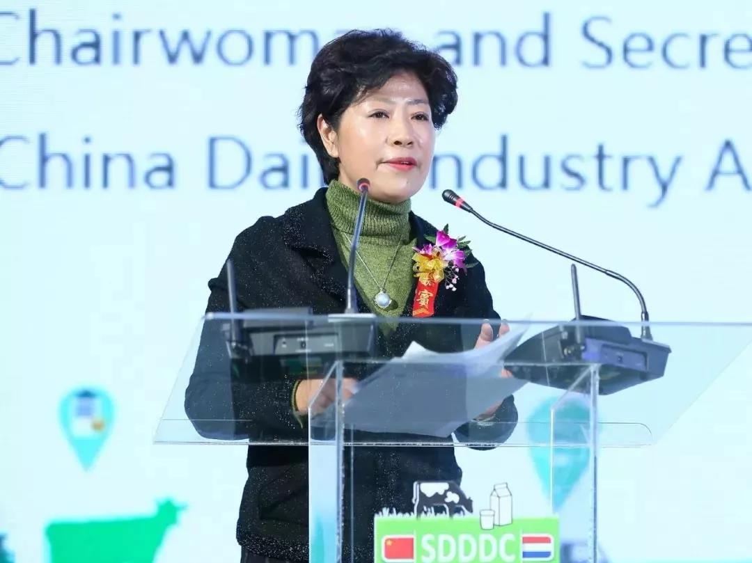 SDDDC走進河南，看看花花牛的國際范兒！