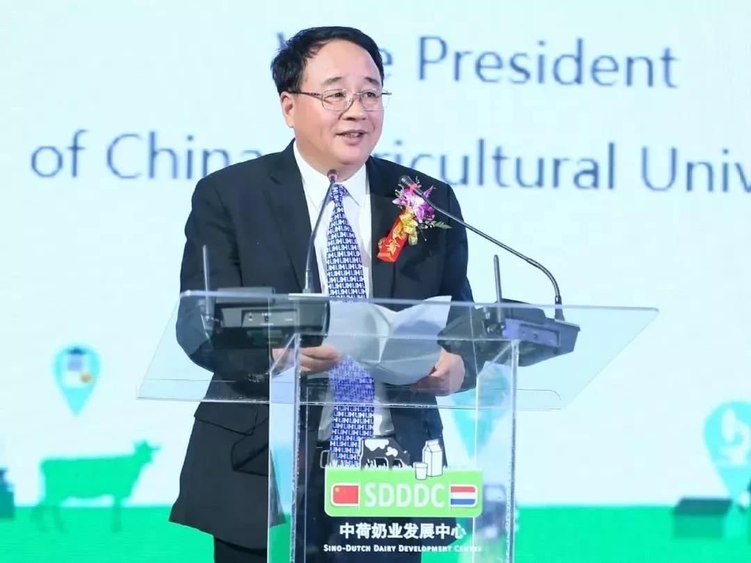 SDDDC走進河南，看看花花牛的國際范兒！