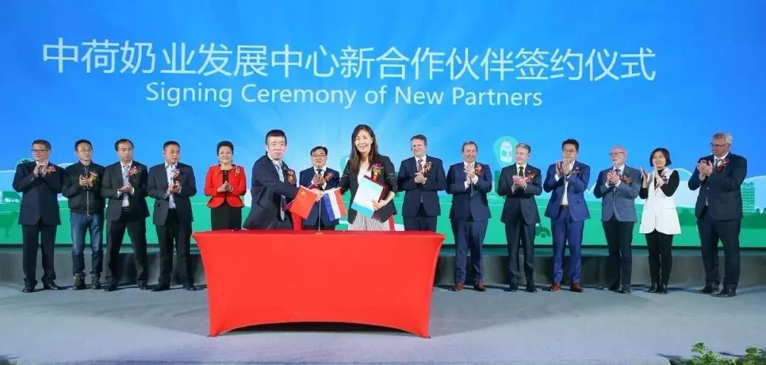 SDDDC走進河南，看看花花牛的國際范兒！