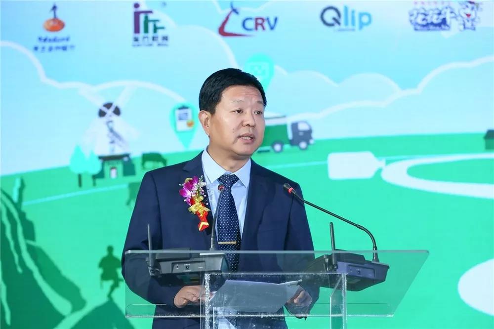 SDDDC走進河南，看看花花牛的國際范兒！