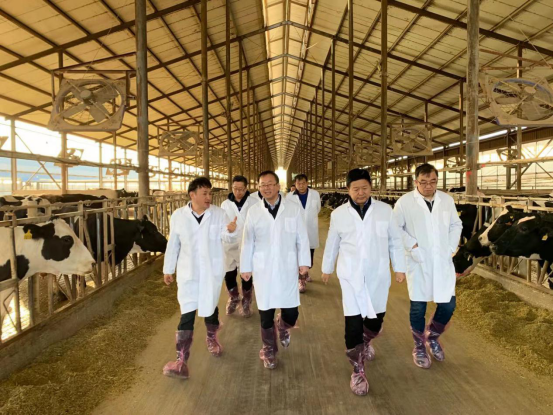 寧夏回族自治區(qū)農(nóng)業(yè)農(nóng)村廳黨組書記、廳長王剛一行蒞臨花花牛乳業(yè)集團(tuán)調(diào)研