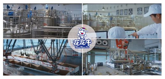 榮獲全國“質(zhì)量月”五項(xiàng)大獎(jiǎng)，花花牛真牛！