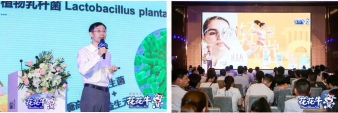 花花牛輕覺上市暨優(yōu)質(zhì)乳工程認(rèn)證發(fā)布會，盛大啟幕！