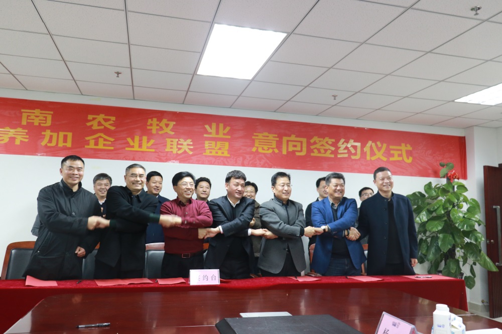 涉農(nóng)企業(yè)強(qiáng)強(qiáng)聯(lián)合，“抱團(tuán)取暖”共迎企業(yè)發(fā)展的春天