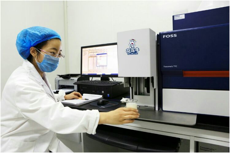 花花牛：務(wù)實(shí)、創(chuàng)新領(lǐng)潮市場(chǎng) 大企業(yè)體現(xiàn)大擔(dān)當(dāng)